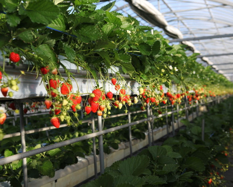 I㉺2iɂȂĂ܂AȎqԃCX̕ł ڂ̑ÕC`Ŝ܂܂Ł@pNbƁ