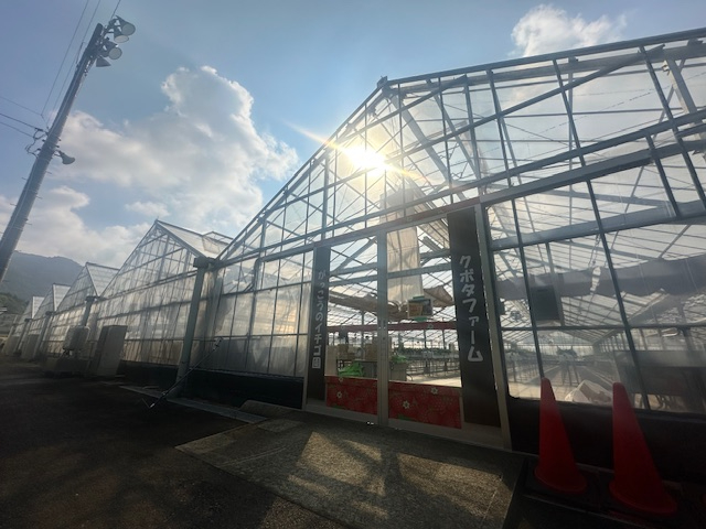 Ȃql炨N̕܂ŕL̕Xɑɂy݂܂