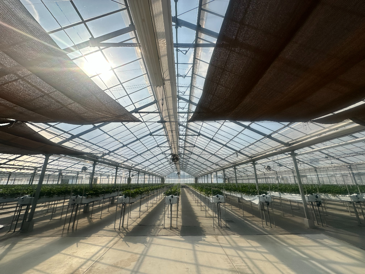 oAt[Ήł̂Ńxr[J[ԂłƂy݂܂B