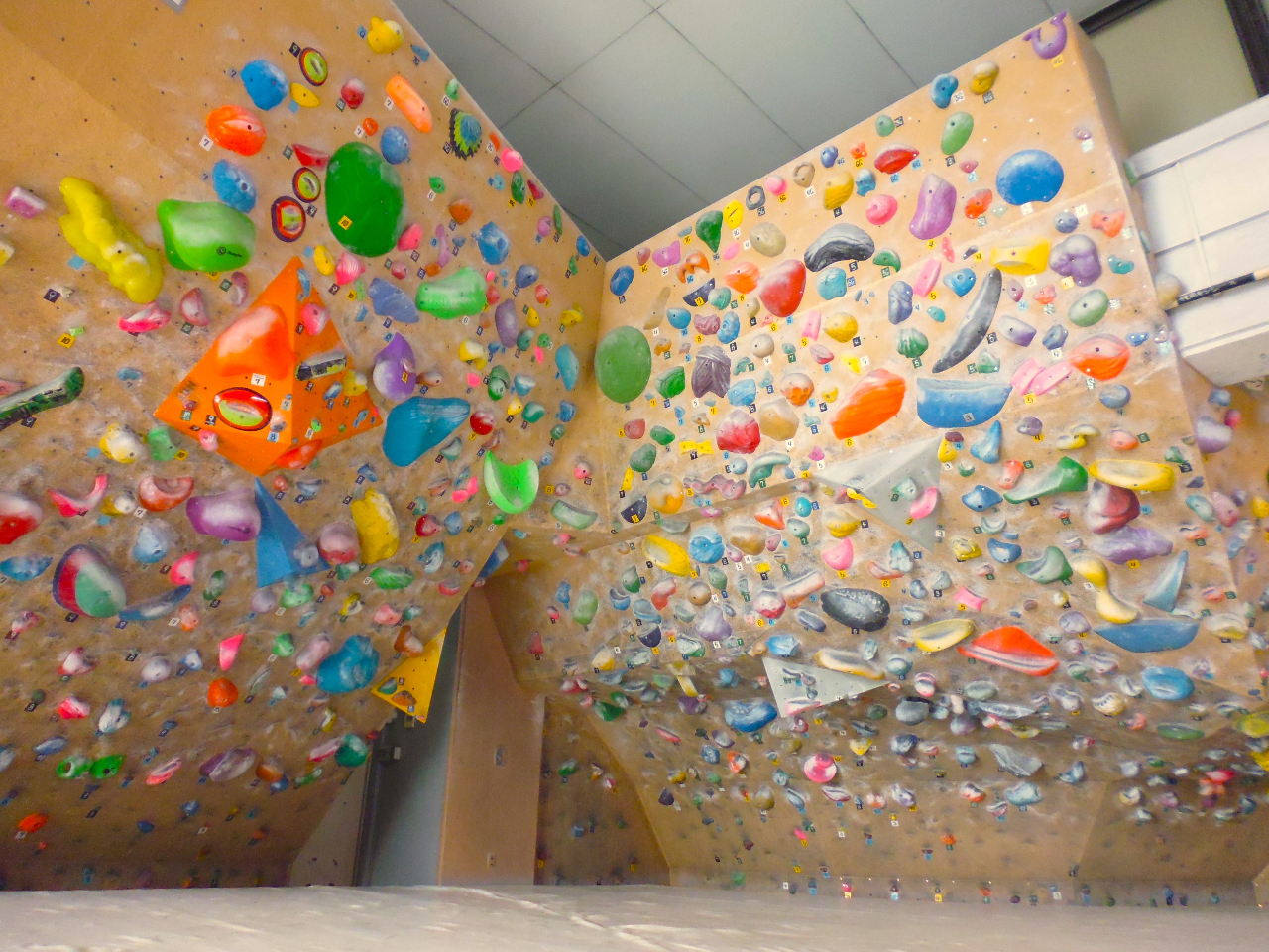 ���X�΁I�㋉�Ҍ����̃G���A������܂��B