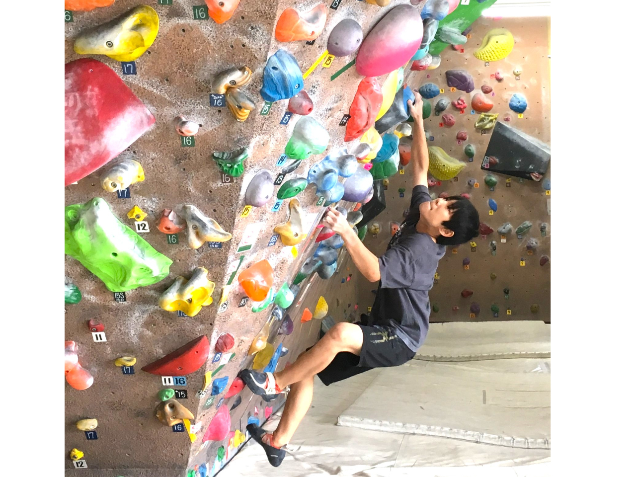 �y�{���_�[�̌��z