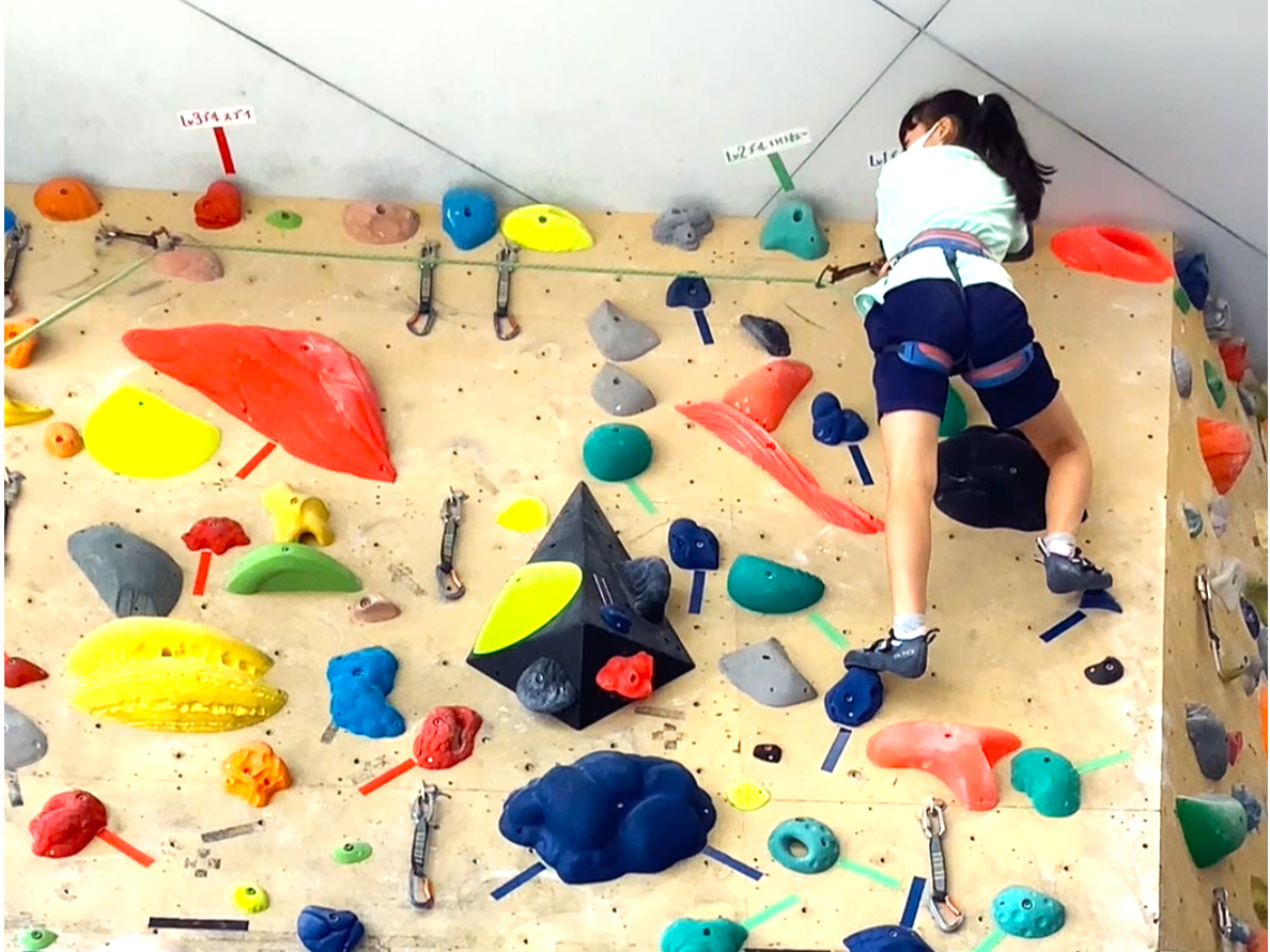 ygbv[vNC~Ǒz@S[7mn_I{_[Ƃ͈ႤiF܂B