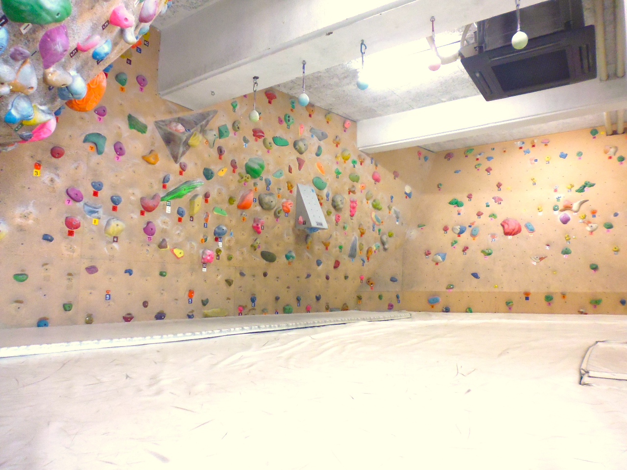 qB⏉߂Ă̕ɐlC̃GAI܂荂Ȃ̂ňSēo܂B