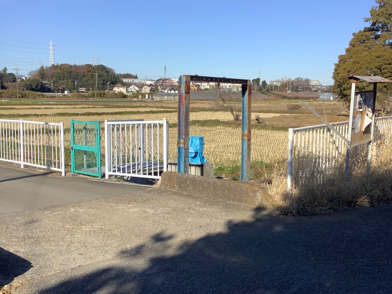 ۂAp[g𔲂ƁAcڂLĂ܂BōɋȂ܂BʂɃnEXĂ܂BS[łBu{[Iu{[