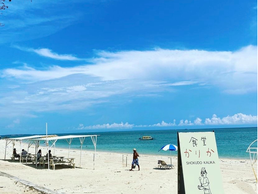 Vr[`ɂ́Alp[og̃I[i[̍{ilp[J[肩܂qlj[L聦sx