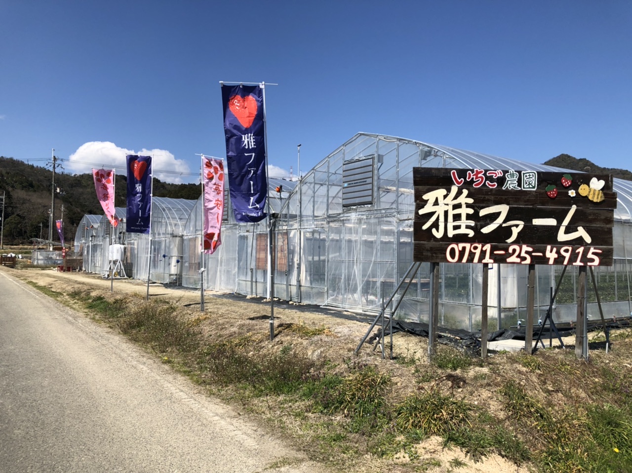 ��t�@�[���̊O�ςł��I