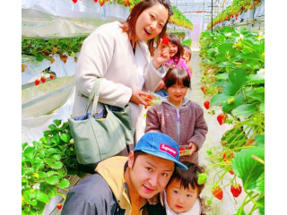 地下30mの水汲み上げて育った大粒のいちごは、新鮮で食べごたえ抜群☆