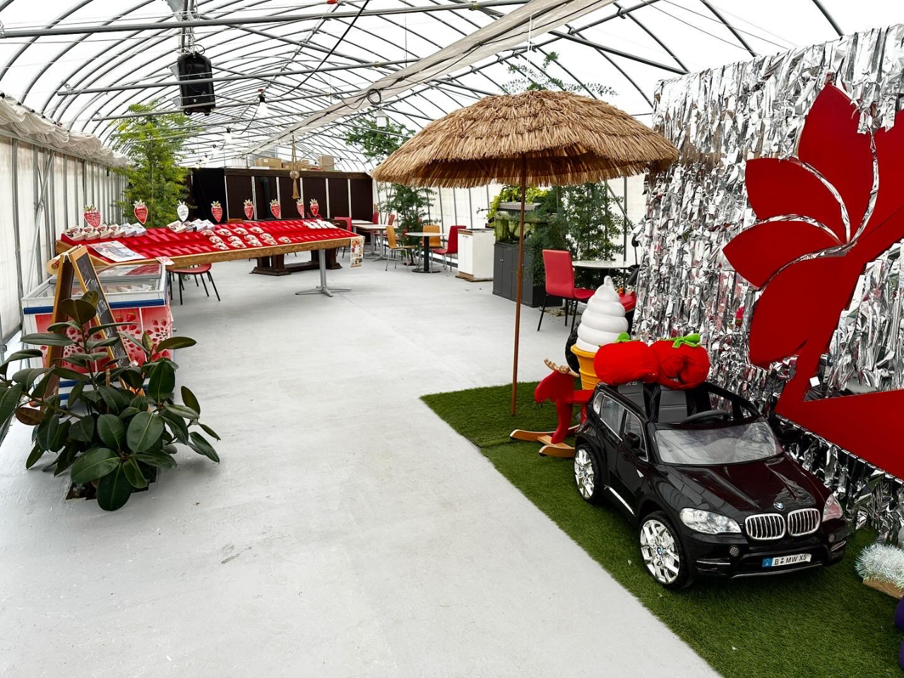 �󂯕t�����̎ʐ^�ł��i�y�b�g�j