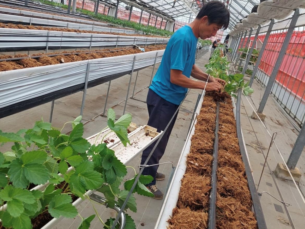 uNÁ`^ԂȂɂȂ܂悤ɁvƁA^S߂ĈĂĂ܂(#^^#)