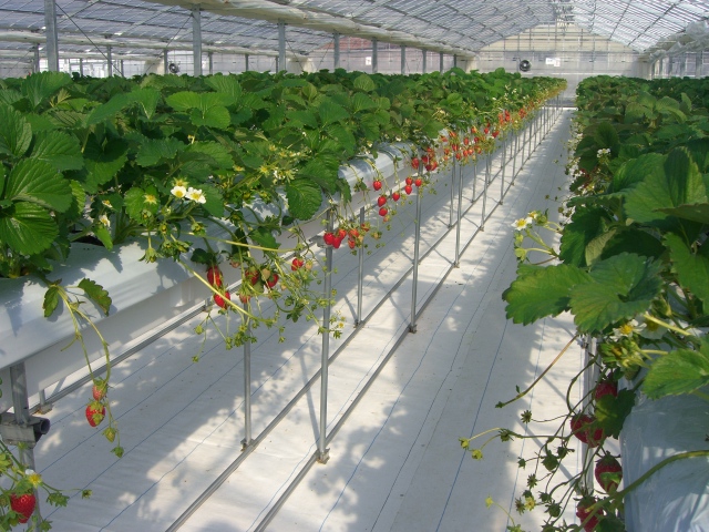 肵ʘHmۂĂAԂłGA܂B