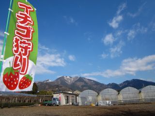 たくさんの種類を食べ比べ♪