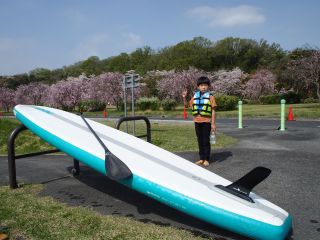 桜満開のシーズンはかなりおすすめ!