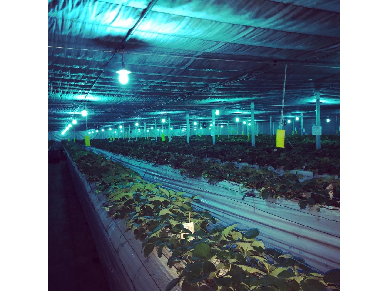 ԁAOƎ˂邱ƂɂAEۂĂ܂B