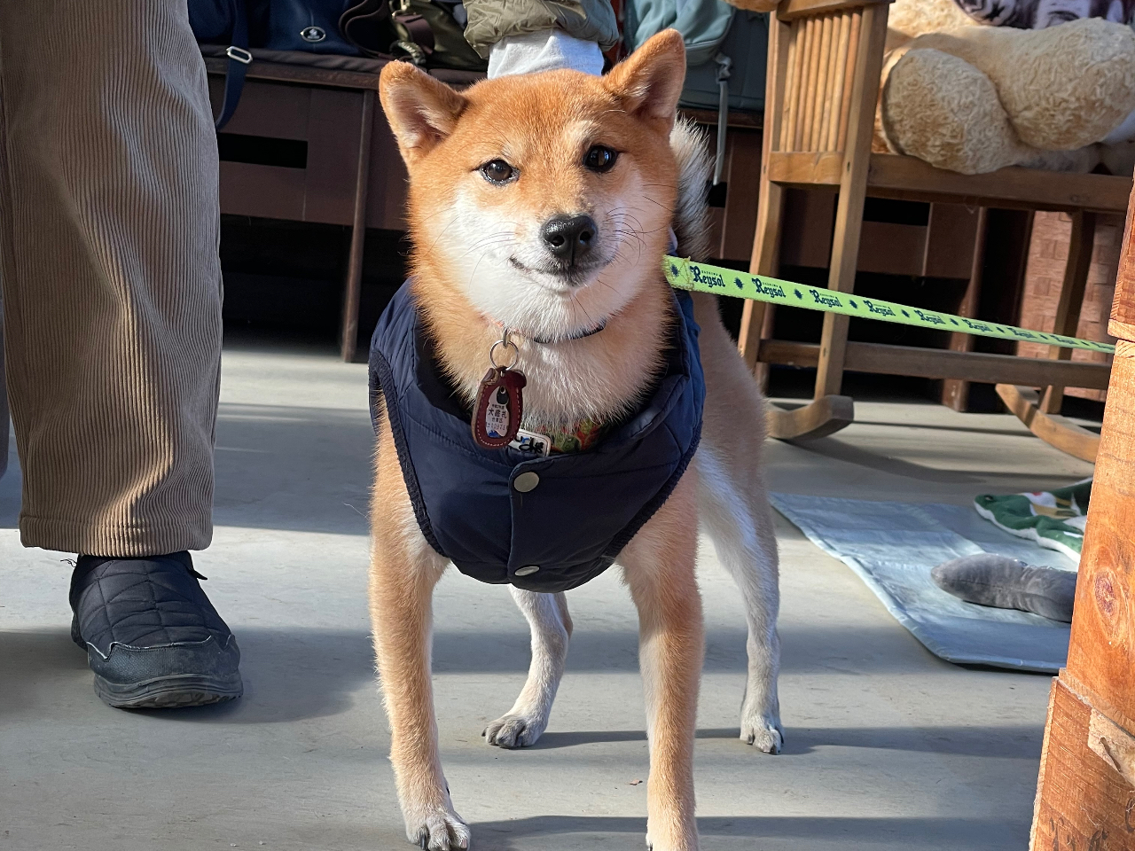 �s����Ŏʐ^�W����ی�L���n����J�Òv���܂��B�J�t�F�G���A�͂�񂱃I�b�P�[�ł��B�i���������G���A�ɂ͓���܂���j