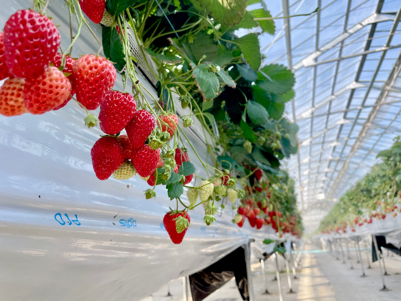 3���ȍ~�͒g�����Ȃ�A������������o���ė��܂��B