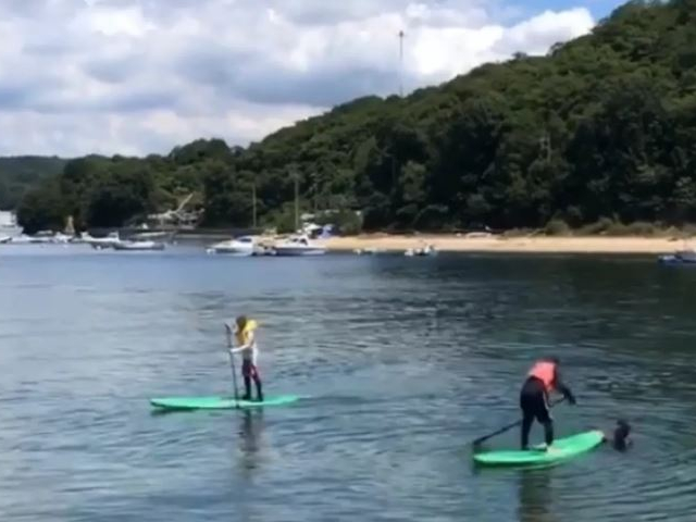 SUPを一日レンタル!お友達、ご家族、カップルで一緒にお楽しみいただけます♪