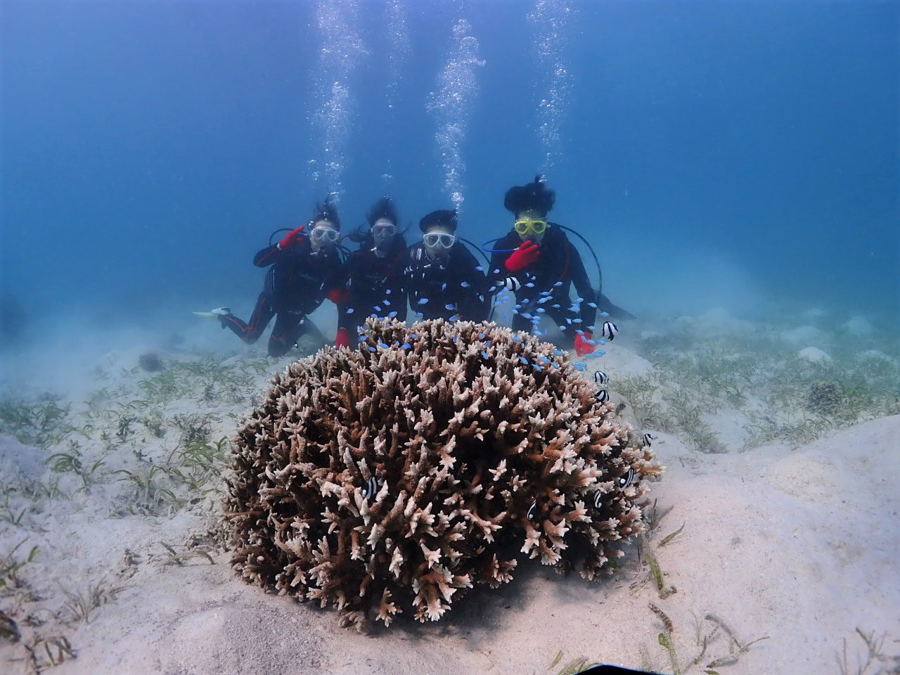 t@~[ő̌_CrOBXƃfoXY_ČQB