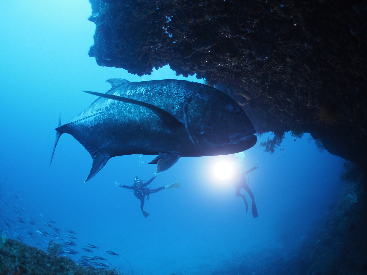 �ɗǕ����@L���A�[�`