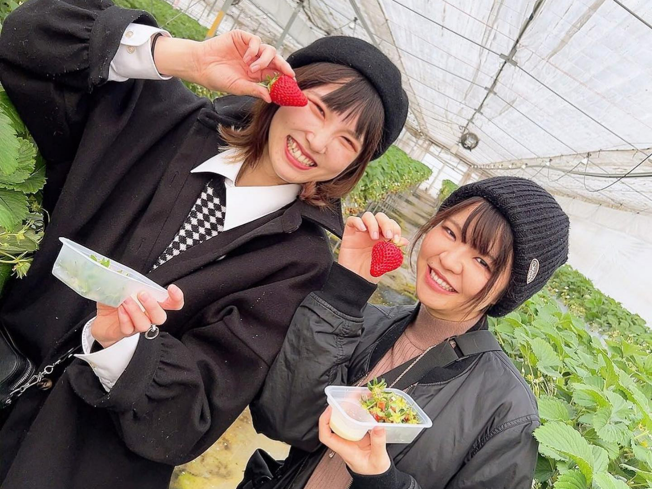 5/12～5/31】赤ずきんちゃんのいちご摘みでしか味わえない！こだわり