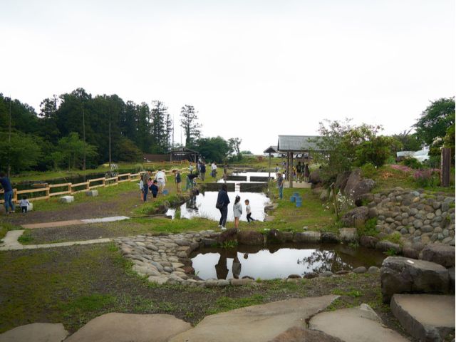 貸切池