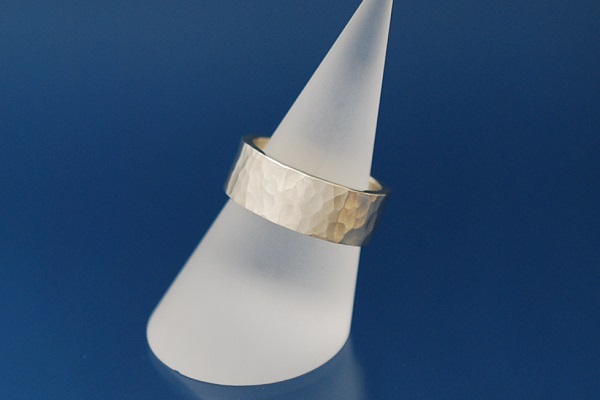 �V���o�[�Ɩڃ����O01