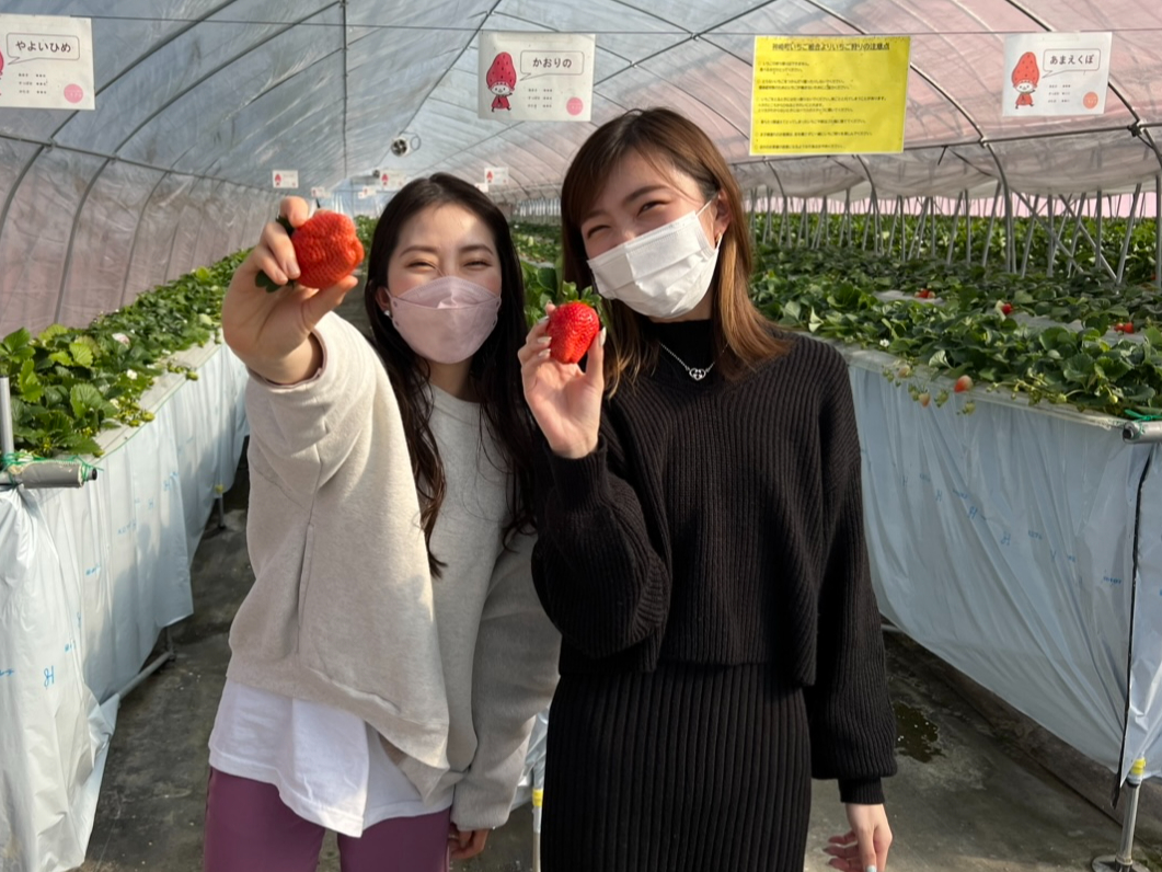 品種説明を見ながら食べ比べ