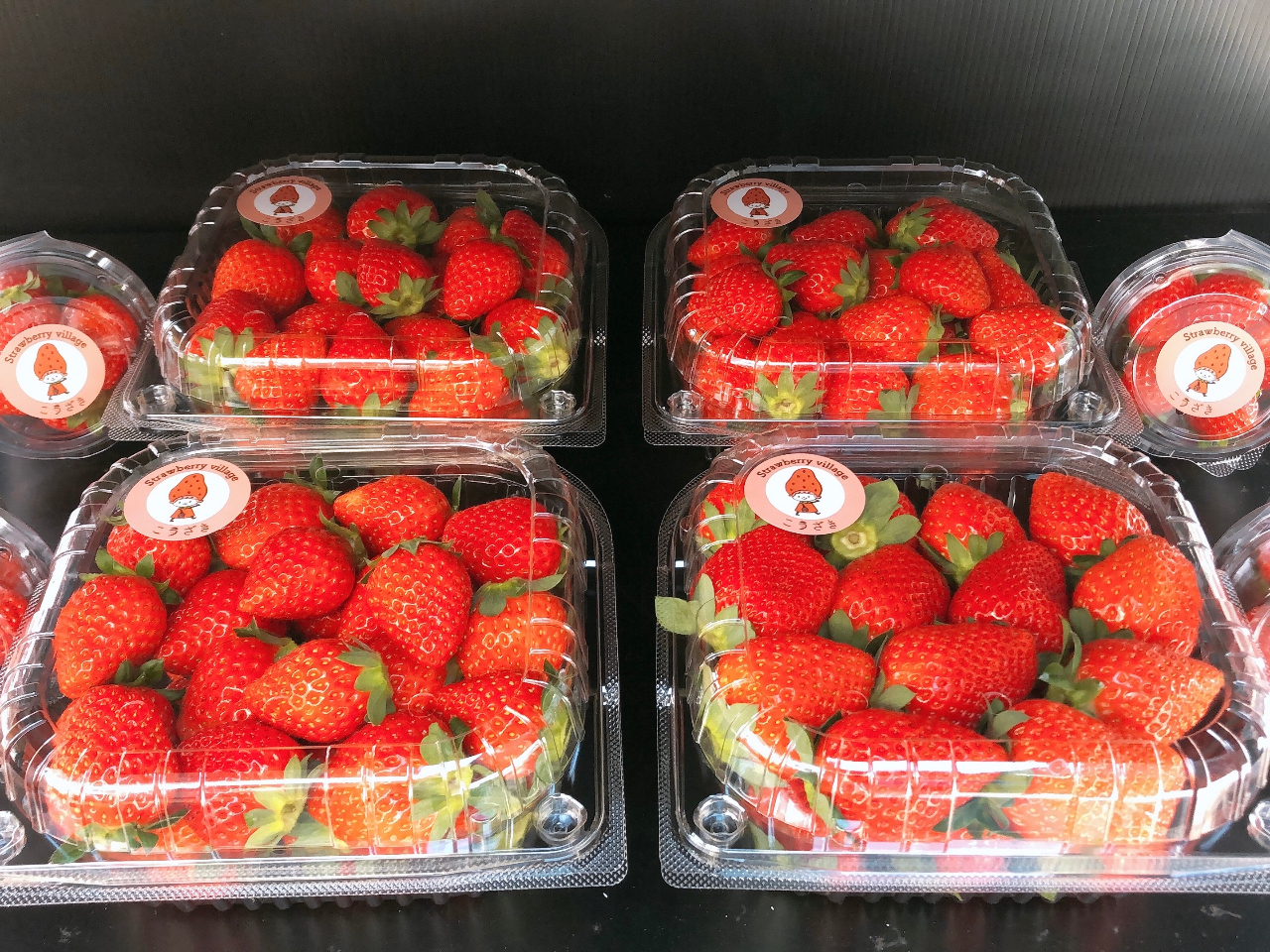 ���̉w���y�̗����������ɂĔ̔�