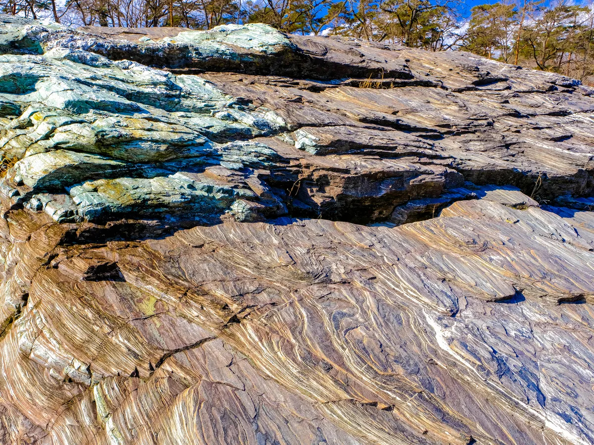 ʌR̔ق炷r։ƁuՊvƌĂ΂Ղ̖єɎ₪ώ@ł܂B͋{򌫎nŖKꂽƌĂ܂B