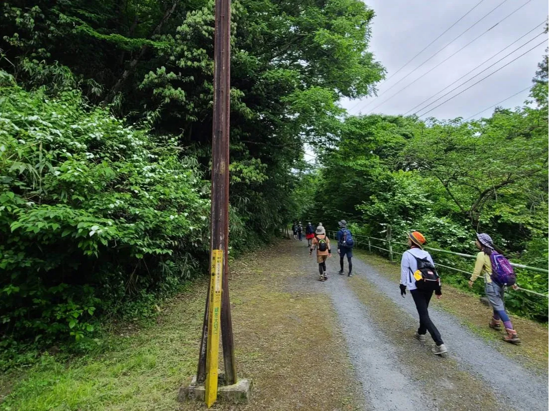 ͔pƂȂb̃[݂̓nCLOȂǂŖKꂽqy܂Ă܂Bʐ^̒͂ă[ƂĎgĂ܂B