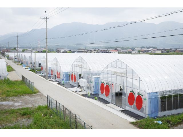 その日1番のハウスへご案内致します♪