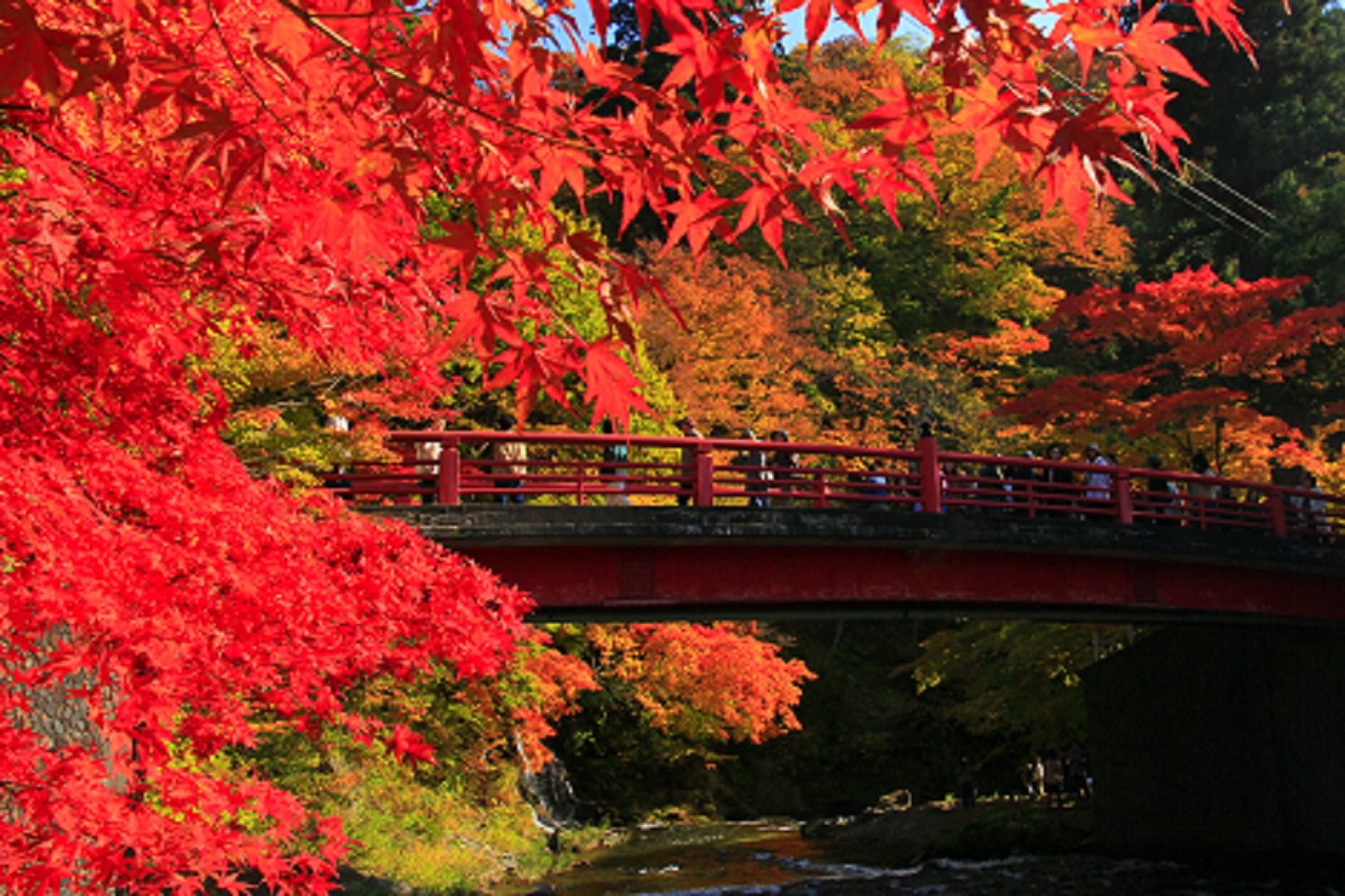 青森市内発着タクシープラン 青森のおすすめ紅葉狩りスポット『城ヶ倉大橋』『中野も...