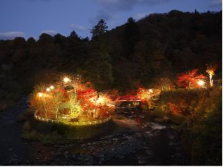 【2023年「じゃらん」圧巻!夜の紅葉絶景ランキングで≪1位≫にランクイン】 中野もみじ山の期間限定ライトアップをお楽しみください。