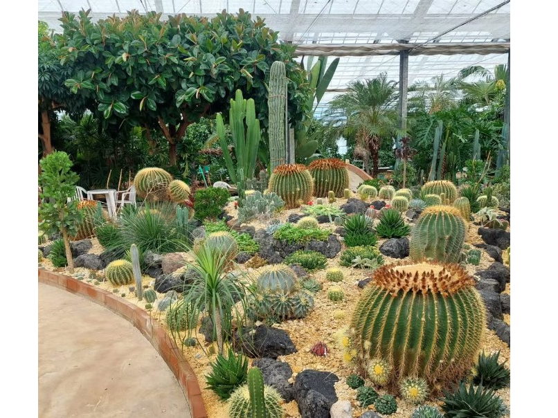 ݂育̌ɁwȃT{ex܂IЂ̋@ɒ̗lqɂȂĂĂI