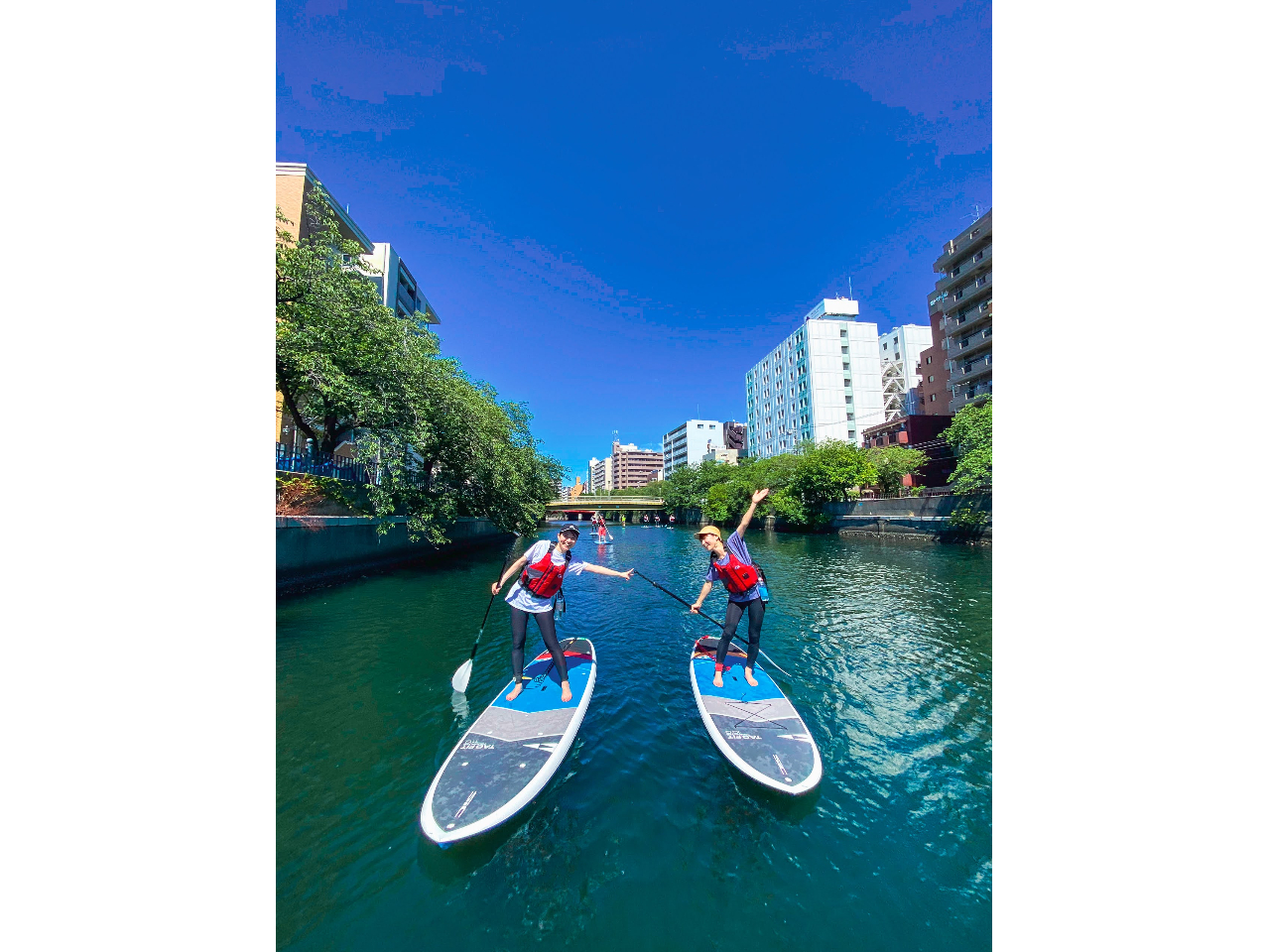 ĝȂ₩ȐłphOKł܂