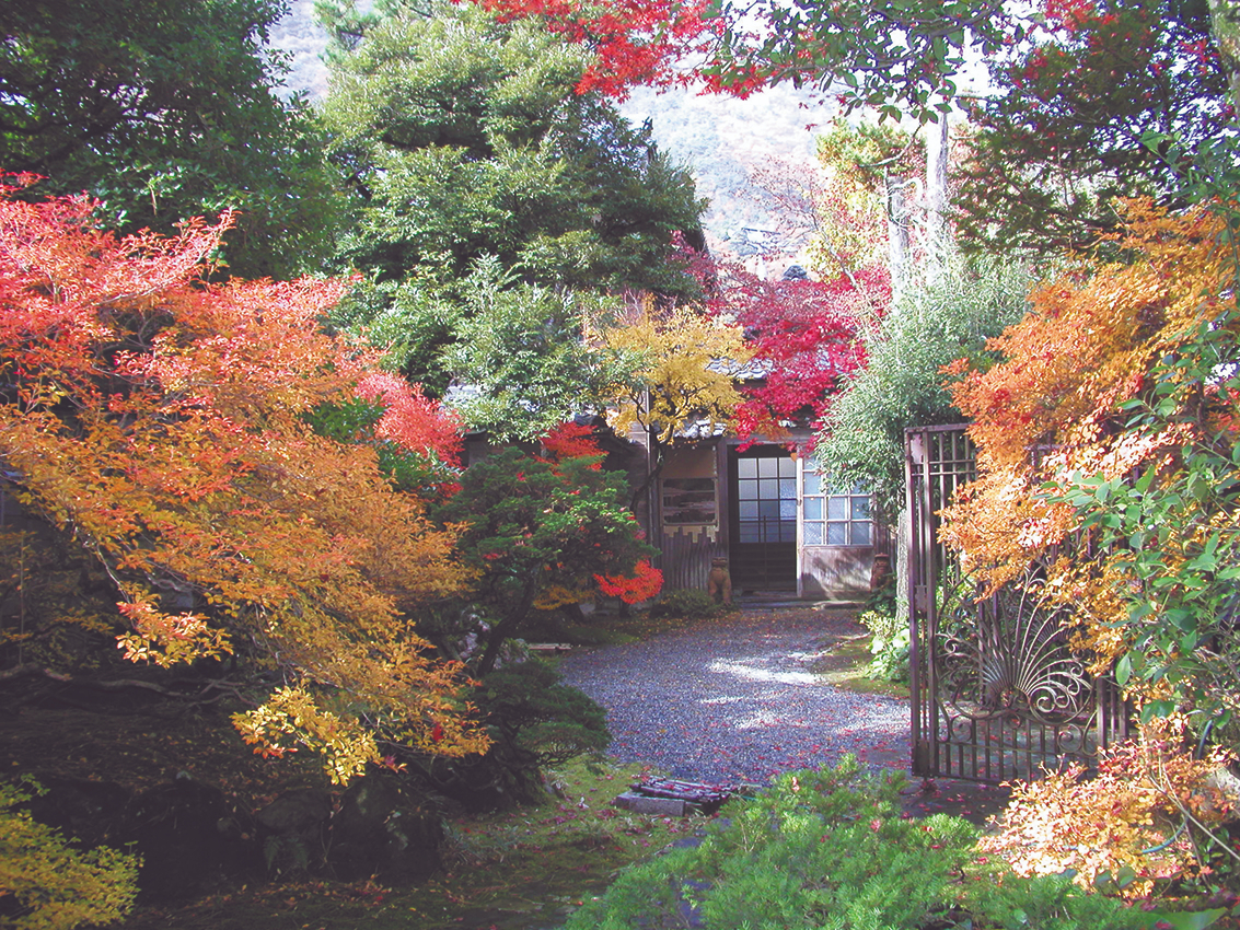 ˑOcƉƘVRƂ̕Ə@򂩂ڒzꂽŋ絊tɎ錚łB