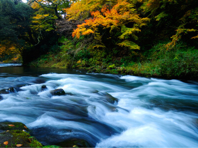 ́A났Aߐk̂߂ɂ薳ԏɒ߂ĎUł܂B