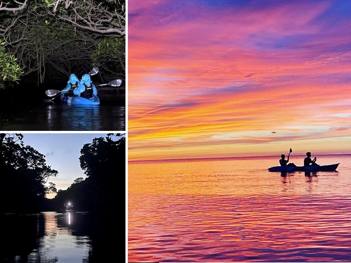 Ί_̃iCgcA[A ̃}O[uEցB 