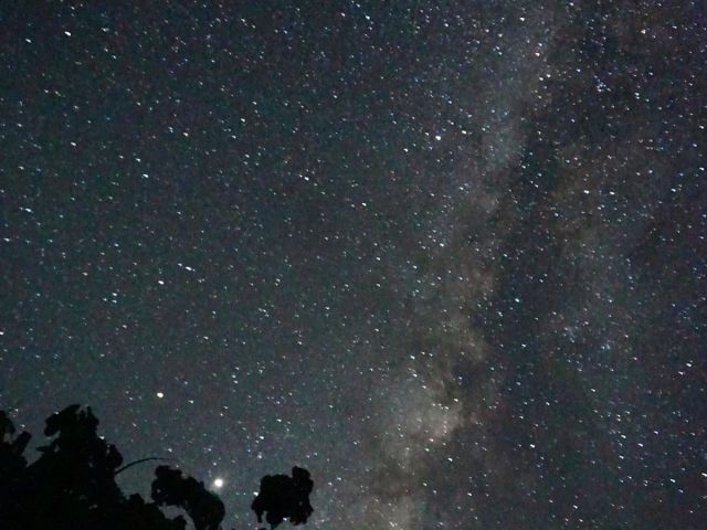 夜の神秘を満喫。