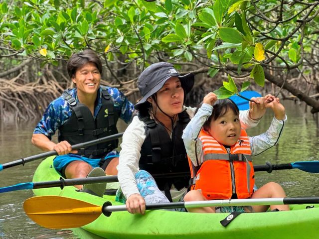 南国の生き物と出会う旅