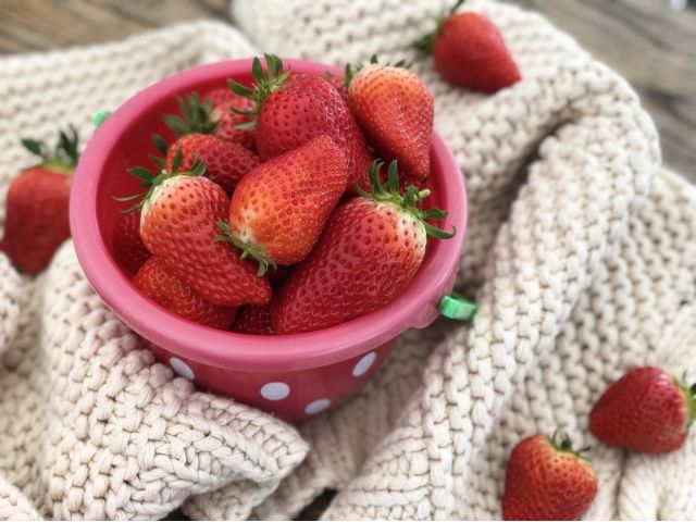 九州最大級 行列ができるいちご園で予約受付スタート 最大12品種 60分食べ放題 多段式高設栽培でお子様からお年寄りまで楽々いちご狩り プーさんのいちご園 じゃらん遊び体験 九州最大級 行列ができるいちご園で予約受付スタート 最大12品種 60分食べ放題 多段式高設栽培でお子様からお年寄りまで楽々いちご狩り プーさんのいちご園 じゃらん遊び体験