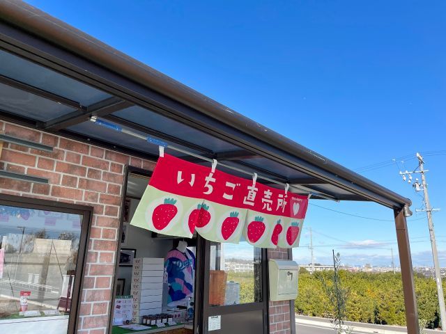 いちご狩り受付、いちご直売所
