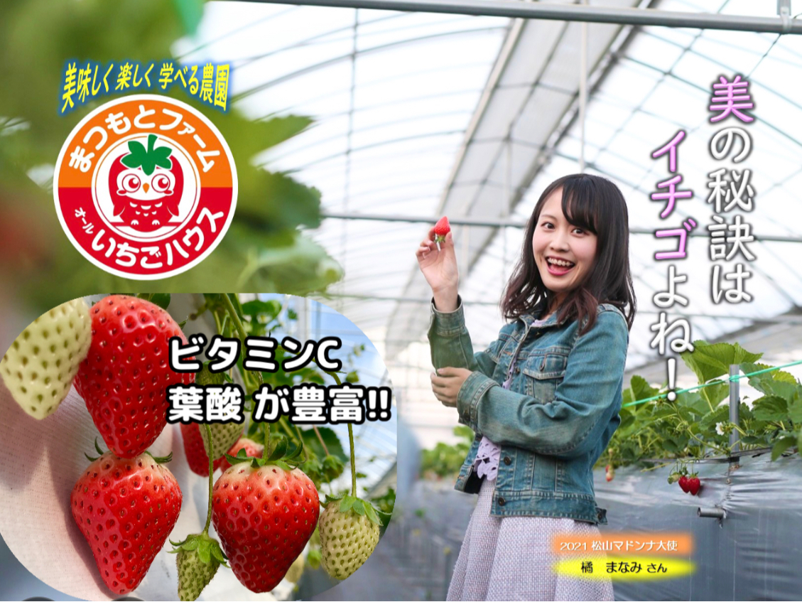 2/22～5/11☆＼道後温泉から一番近い！いちご狩り／いちごのお土産付き