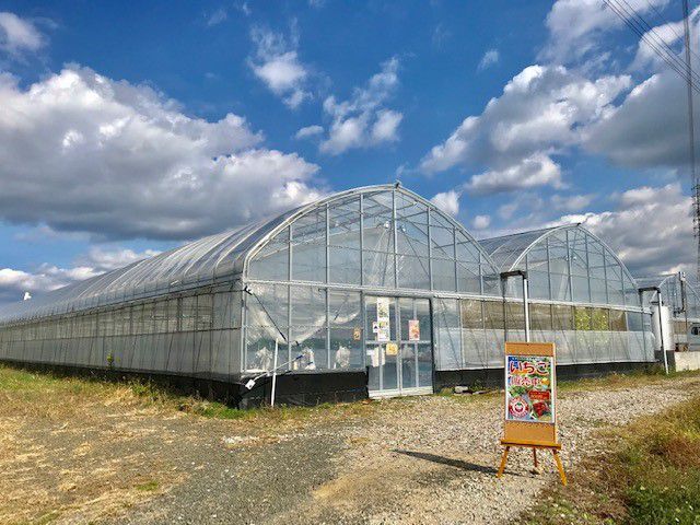 【重要】当園都合によるキャンセルに関しましては、全てメールでお知らせいたします。必ず確認できるアドレスをご記入ください。