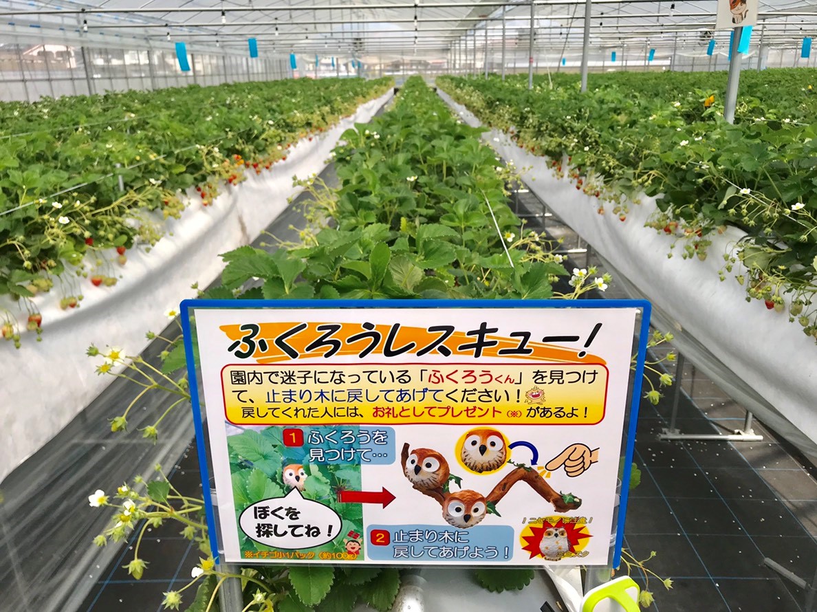 yQ[zŖqɂȂĂӂ낤ToAƂɋAĂ܂傤!!