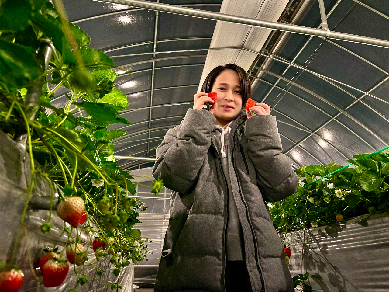 ԂƂ͈Ⴄ͋C̒ł̂ǂ!!Ԃ͗₦܂̂ŁAłBj20ԂƂȂ܂̂ŁAԂɂӂB