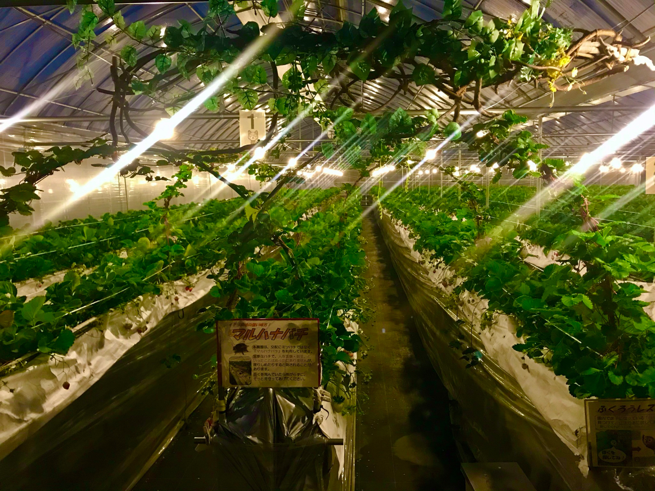 CgAbvꂽ̓m^WbNȕ͋Cɕ܂܂B