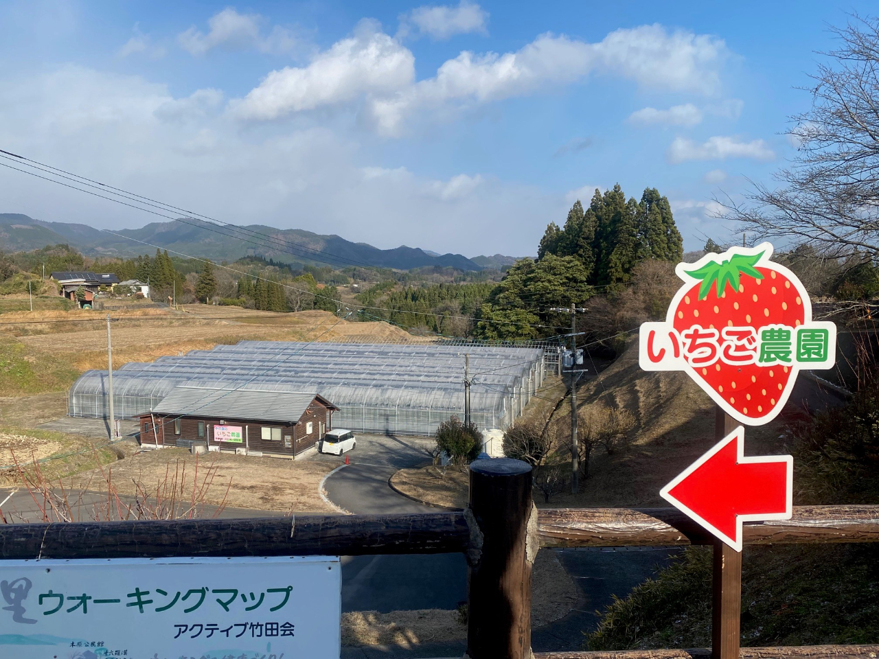 2026年1月～2026年3月【道の駅竹田すぐ♪】3品種のいちご食べ放題（40