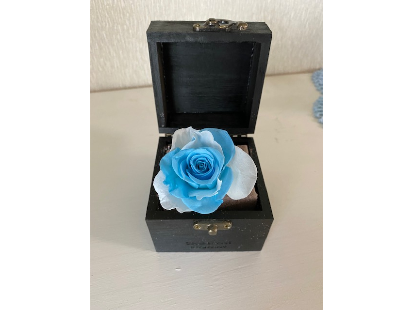 O[tČ`܂B̌ł̓vU[uhȂł͂̃oA𒆐Sɍ܂Bo𕪉ăO[œ\t傫܂B