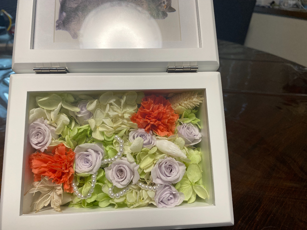 {bNXt[]ł̌ł܂BNAP[X͂܂B