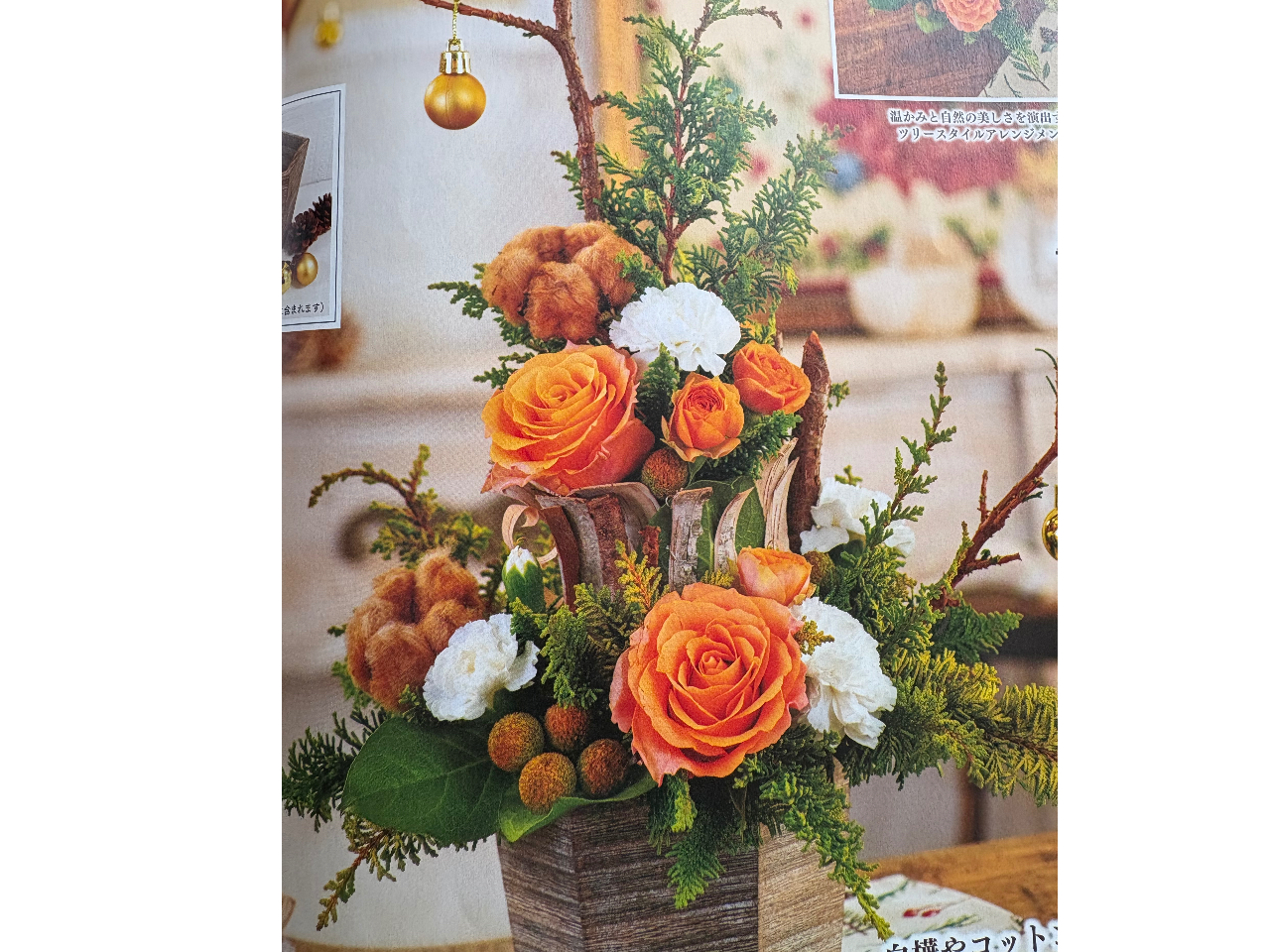 12��10���͋G�߂̃A�����W�����g�B